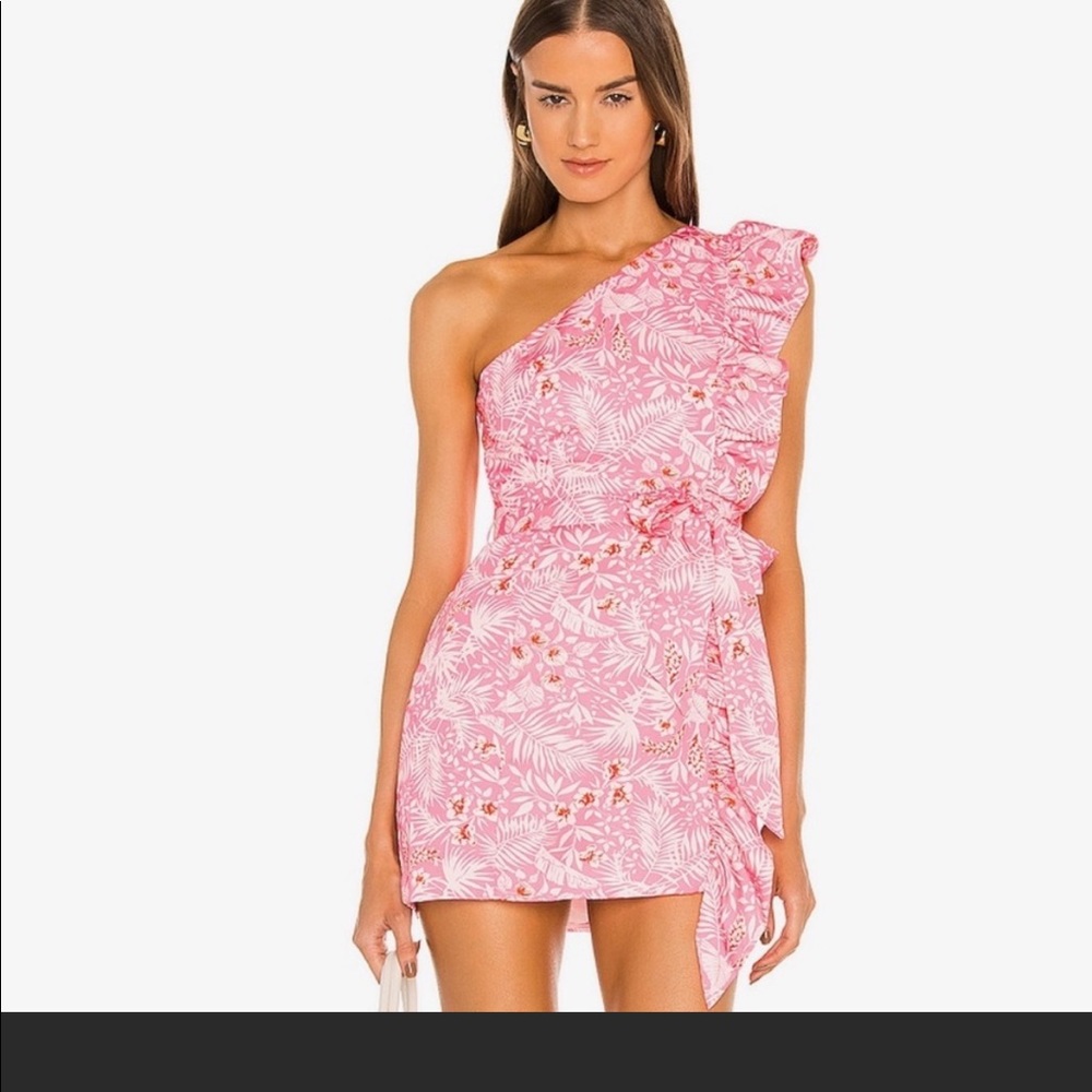 Lovers and friends mini dress!!